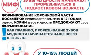 Профилактика заболеваний и поддержка здорового образа жизни